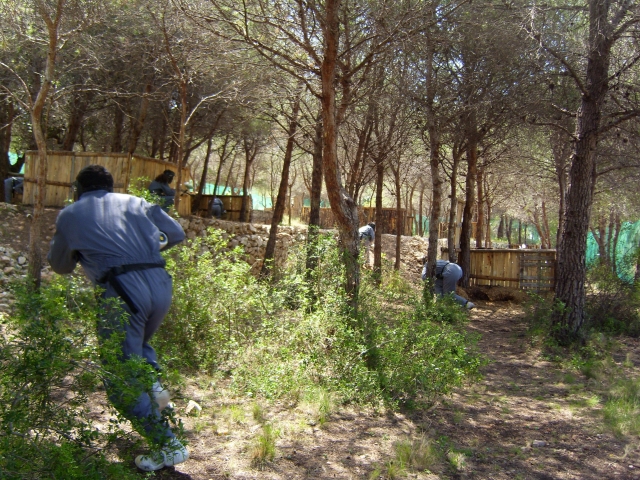 El bosque 1.JPG